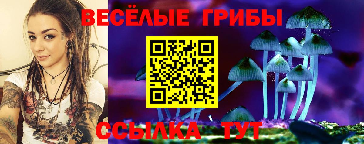 Псилоцибиновые грибы прущие грибы  Вход с VPN  Малоярославец 